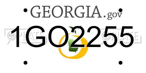 1GO2255 Georgia License Plate