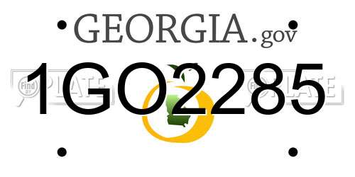 1GO2285 Georgia License Plate