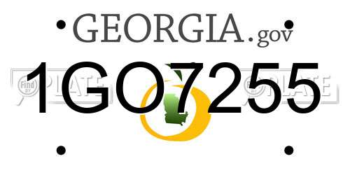 1GO7255 Georgia License Plate