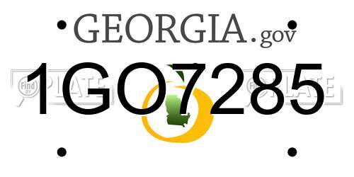 1GO7285 Georgia License Plate