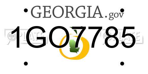 1GO7785 Georgia License Plate