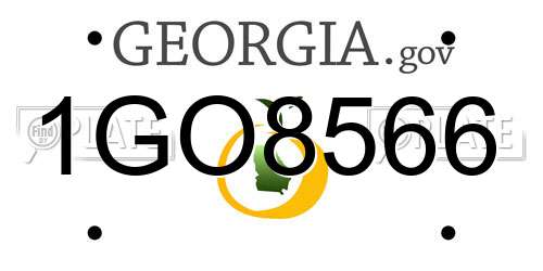 1GO8566 Georgia License Plate