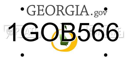 1GOB566 Georgia License Plate