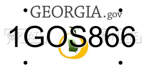 1GOS866 Georgia License Plate