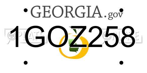 1GOZ258 Georgia License Plate