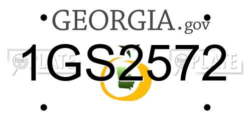 1GS2572 Georgia License Plate