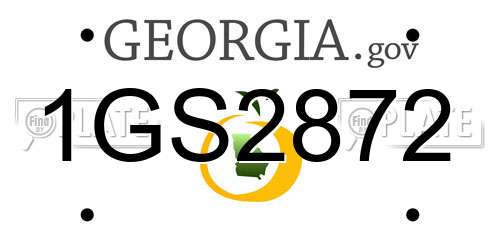1GS2872 Georgia License Plate