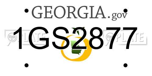 1GS2877 Georgia License Plate