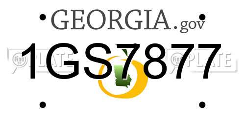1GS7877 Georgia License Plate