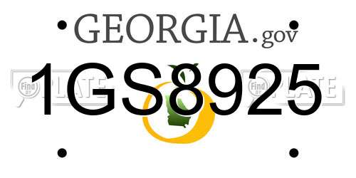 1GS8925 Georgia License Plate