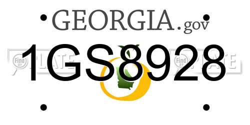 1GS8928 Georgia License Plate