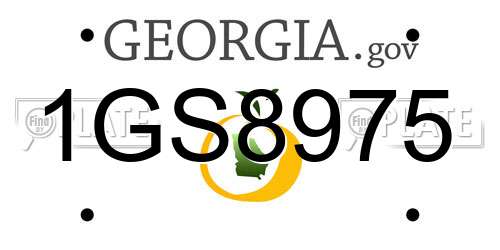 1GS8975 Georgia License Plate