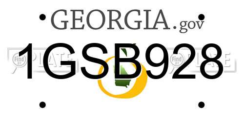1GSB928 Georgia License Plate