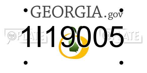 1I19005 Georgia License Plate