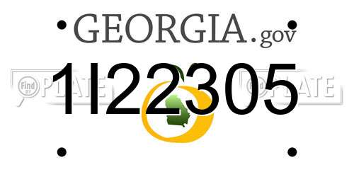 1I22305 Georgia License Plate