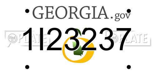 1I23237 Georgia License Plate
