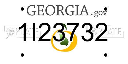 1I23732 Georgia License Plate