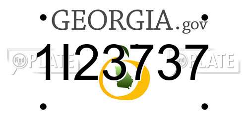 1I23737 Georgia License Plate