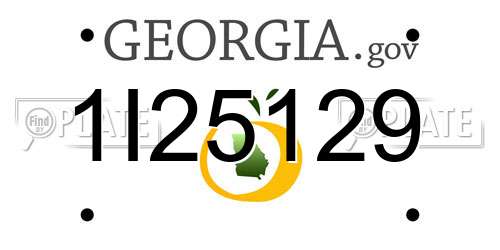1I25129 Georgia License Plate