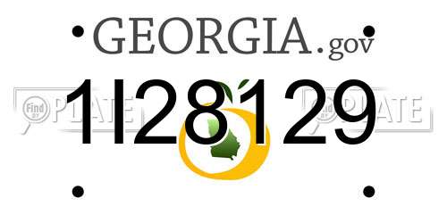1I28129 Georgia License Plate