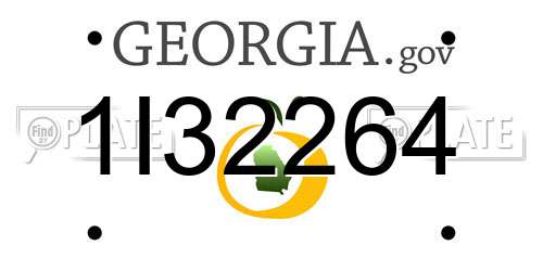 1I32264 Georgia License Plate
