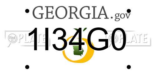 1I34G0 Georgia License Plate