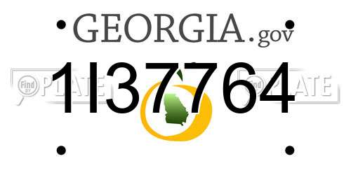 1I37764 Georgia License Plate
