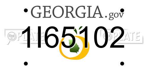 1I65102 Georgia License Plate