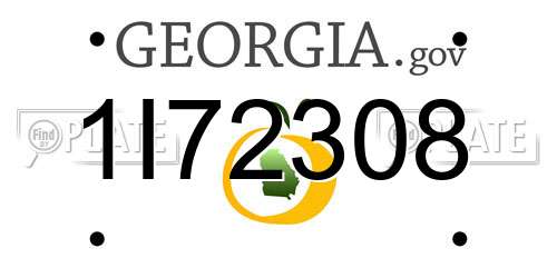 1I72308 Georgia License Plate