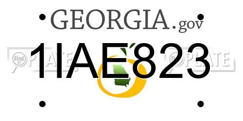 1IAE823 Georgia License Plate