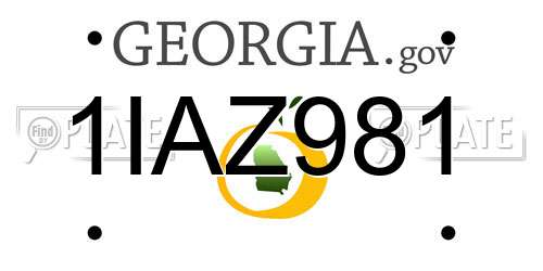 1IAZ981 Georgia License Plate