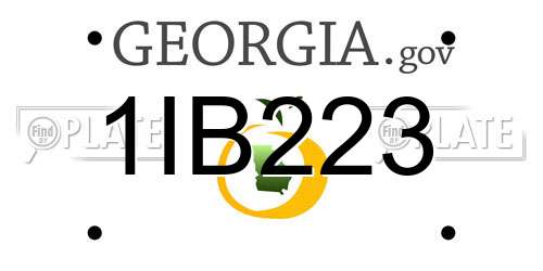 1IB223 Georgia License Plate