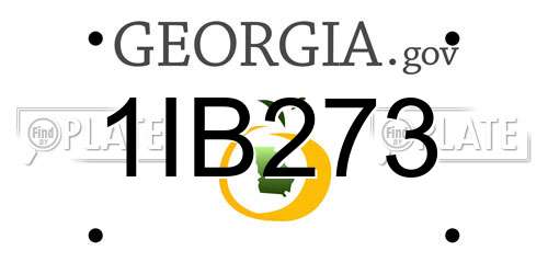 1IB273 Georgia License Plate