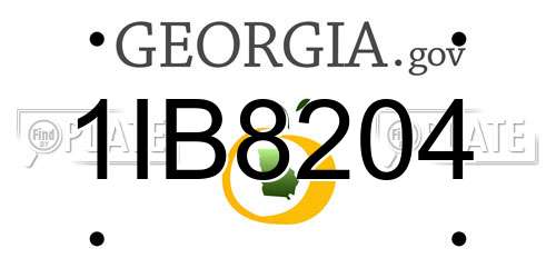 1IB8204 Georgia License Plate