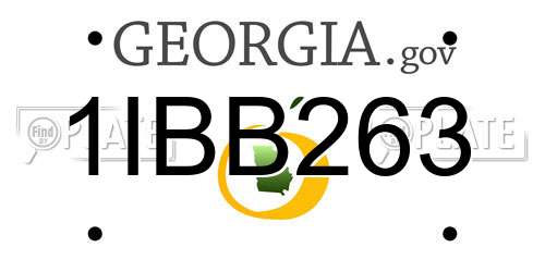 1IBB263 Georgia License Plate