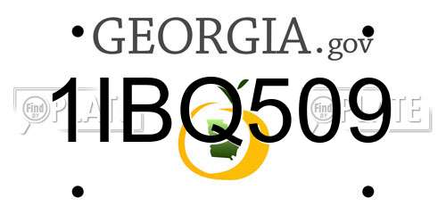 1IBQ509 Georgia License Plate