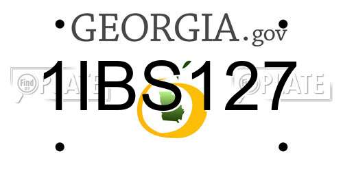 1IBS127 Georgia License Plate