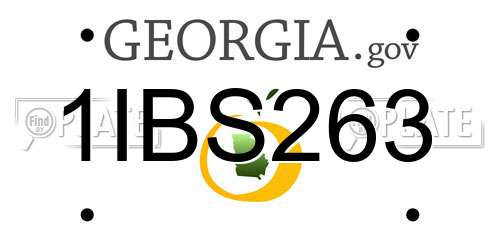 1IBS263 Georgia License Plate