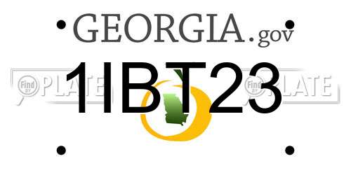 1IBT23 Georgia License Plate