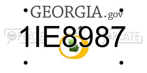1IE8987 Georgia License Plate