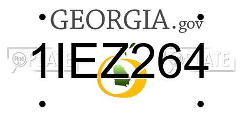 1IEZ264 Georgia License Plate