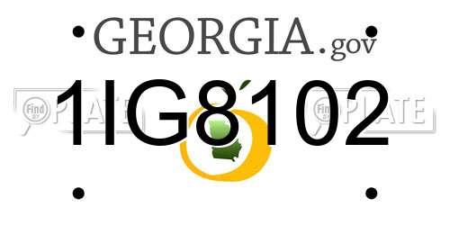 1IG8102 Georgia License Plate