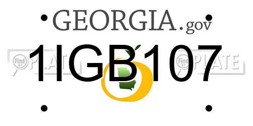 1IGB107 Georgia License Plate