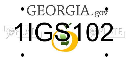 1IGS102 Georgia License Plate