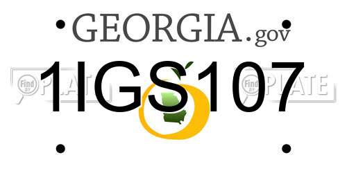 1IGS107 Georgia License Plate