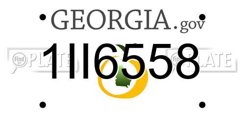 1II6558 Georgia License Plate