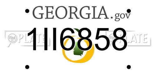 1II6858 Georgia License Plate