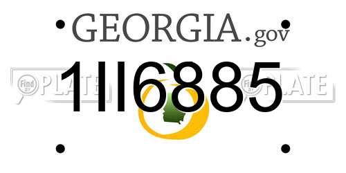 1II6885 Georgia License Plate