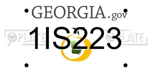1IS223 Georgia License Plate