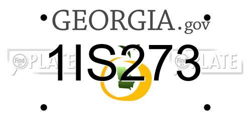 1IS273 Georgia License Plate